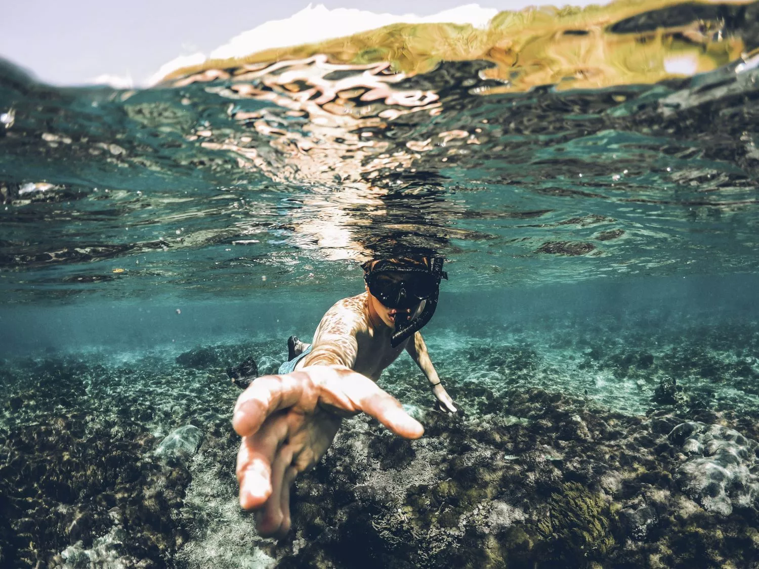 person diving in Ohrid Lake
